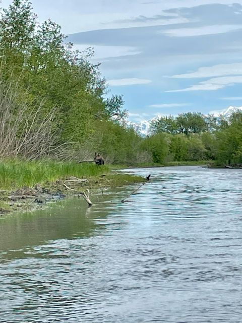 Half-Day Guided Paddle Tour on Knik River - Experience Highlights