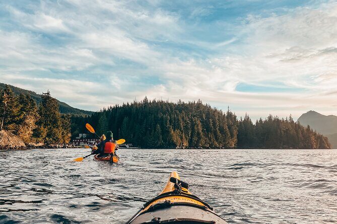 Half-Day Guided Sea Kayaking Adventure in Telegraph Cove - Exploring the Half-Day Guided Sea Kayaking Adventure in Telegraph Cove