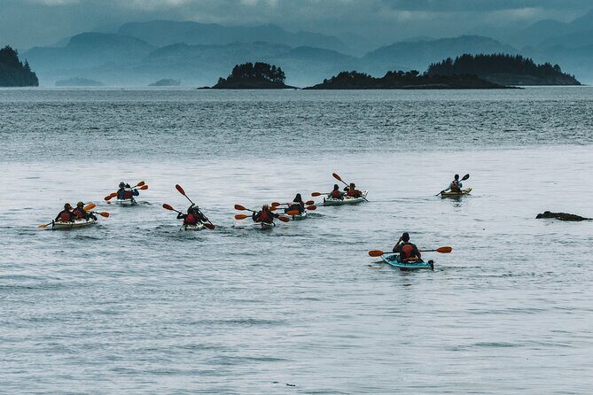 Half-Day Guided Sea Kayaking Adventure in Telegraph Cove - Good To Know