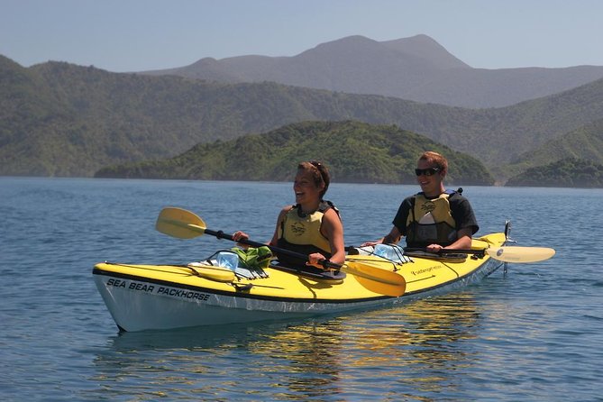 Half-Day Guided Sea Kayaking Tour From Anakiwa - Tour Overview