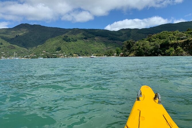 Half-Day Guided Sea Kayaking Tour From Anakiwa - What to Expect