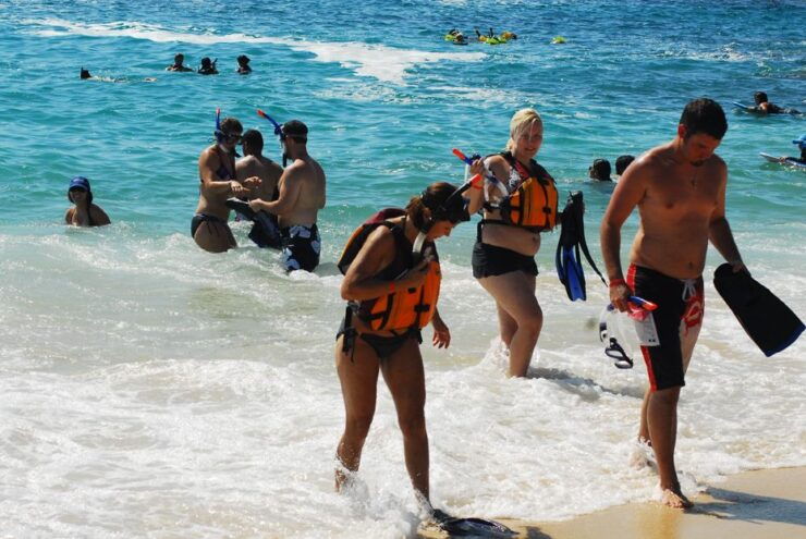 Half Day Guided Snorkel Tour in Los Cabos - Activity Details