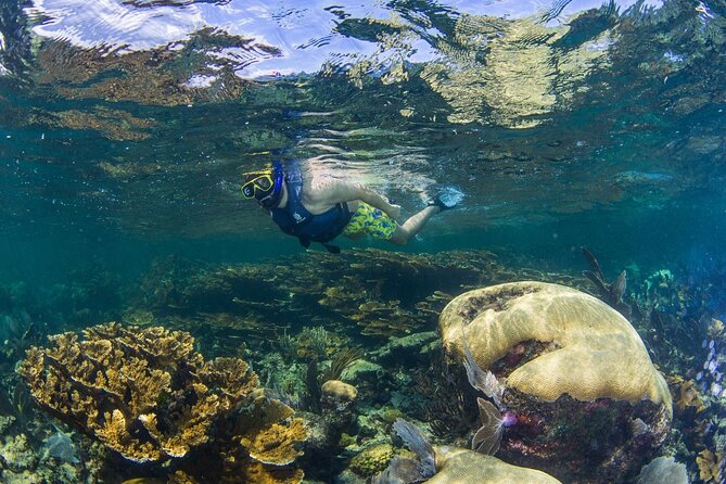 Half Day Guided Snorkeling Adventure in Puerto Morelos - Important Considerations