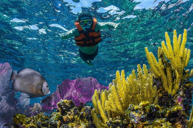 Half Day Guided Snorkeling Adventure in Puerto Morelos - Cancellation and Refund Policy