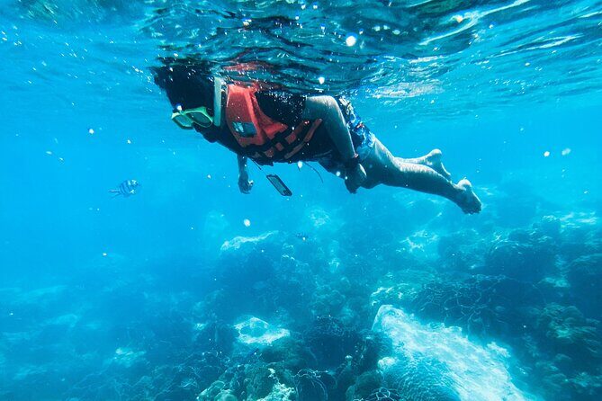 Half Day Guided Snorkeling in Negombo - The Value and Practical Aspects