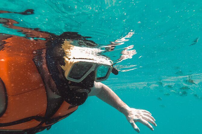Half Day Guided Snorkeling in Negombo - Equipment and Comfort