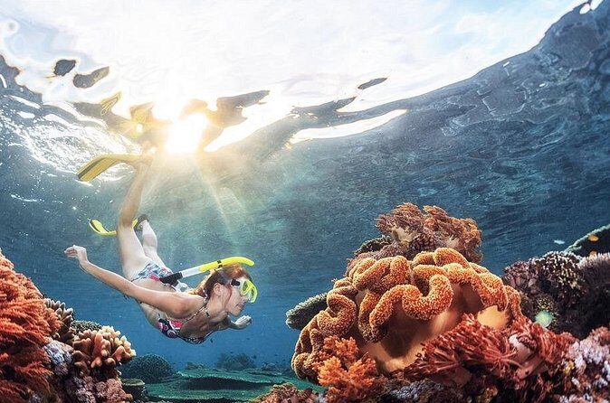 Half Day Guided Snorkeling in Negombo - Practical Details and Tips