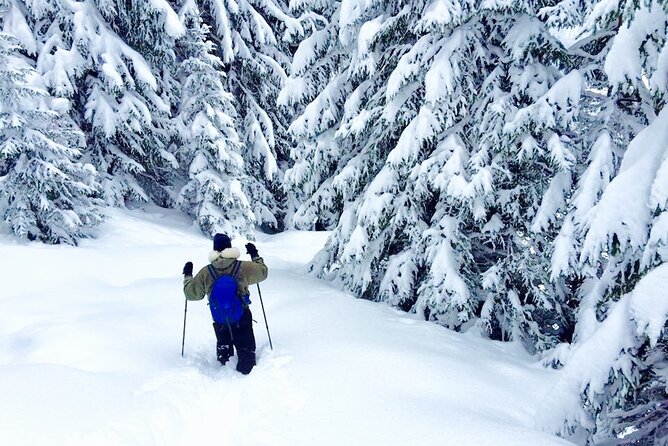 Half-Day Guided Snowshoe Hike in the Allgäu - Physical Requirements and Traveler Information