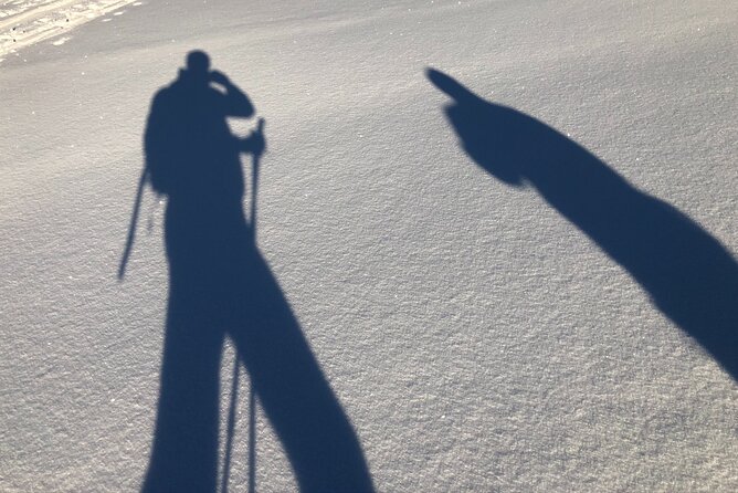 Half-Day Guided Snowshoe Hike in the Allgäu - Additional Information and Accessibility