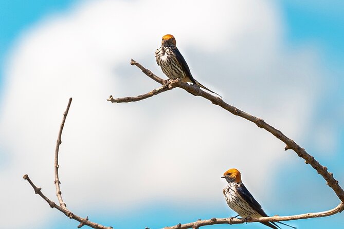 Half-Day Guided Table Mountain Hike Cape Town - Trail Difficulty Level