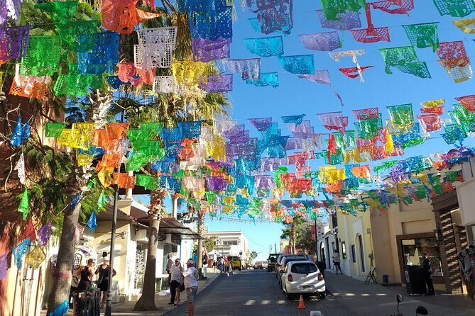 Half-Day Guided Tour in San José del Cabo Art and Beer Tasting - Why This Tour Is Worth Considering