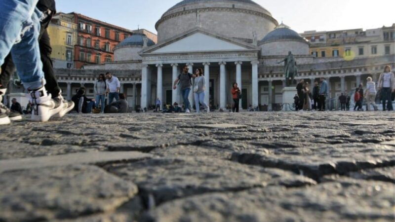 Half-Day Guided Tour: Naples and Pompeii Excavations - The Logistics and Comfort of the Tour