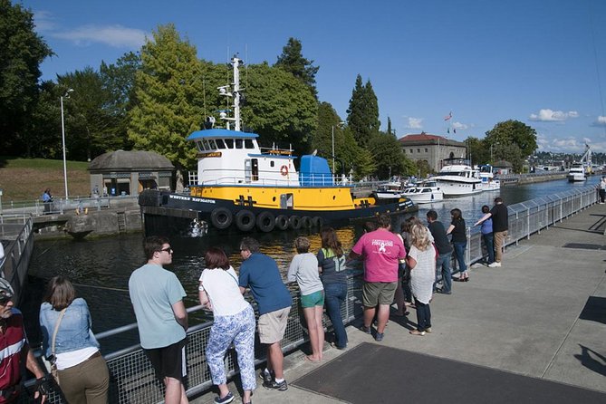 Half-Day Guided Tour of Seattle City and Snoqualmie Falls - Tour Pricing