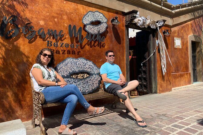 Half-Day: Guided Tour to Todos Santos Magical Town - What the Reviews Tell Us