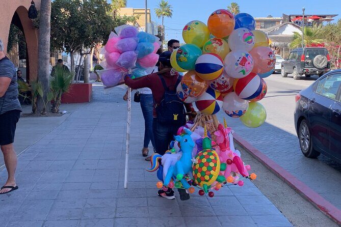 Half-Day: Guided Tour to Todos Santos Magical Town - FAQ