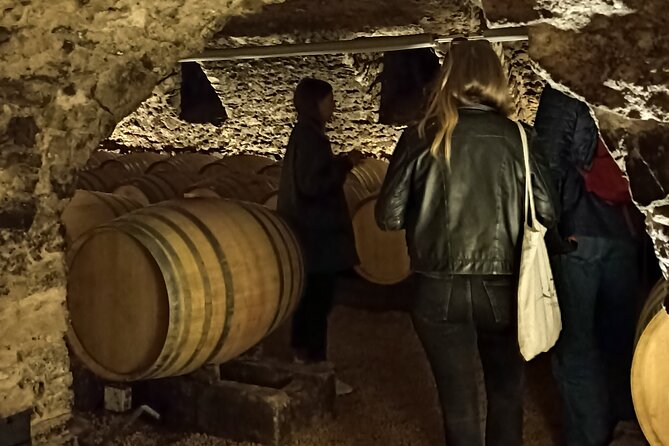 Half-Day Guided Tour With Tasting of Beaujolais Wines - Tour Schedule and Duration