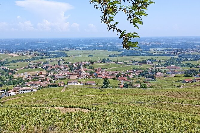 Half-Day Guided Tour With Tasting of Beaujolais Wines - Beaujolais Wine Tasting Locations