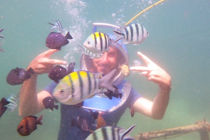Half Day Guided Underwater Sea Walk Experience in Nusa Dua - Experience Overview