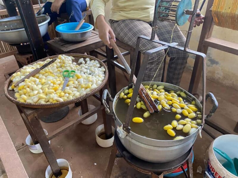 Half-Day Guided Visit: Silk Farm, Senteurs Angkor & Satcha - Who Would Love This Tour?