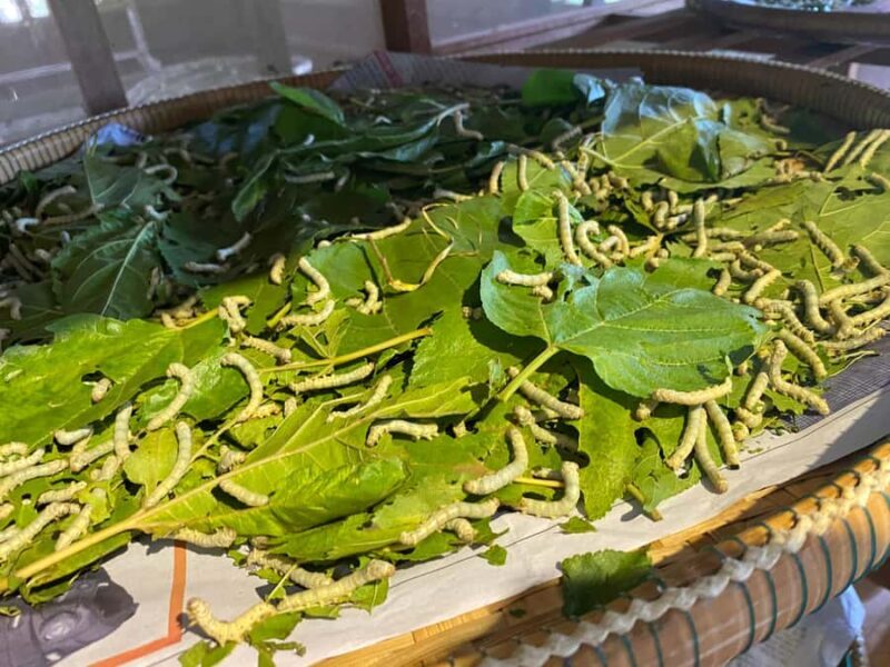 Half-Day Guided Visit: Silk Farm, Senteurs Angkor & Satcha - FAQ