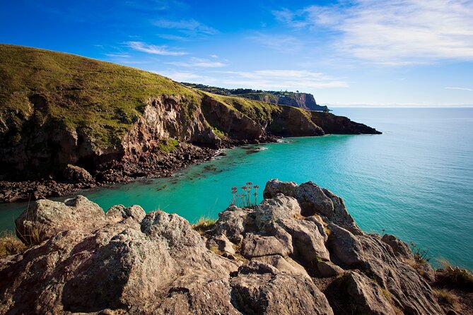 Half Day Guided Walking Tour on Banks Peninsula - Cancellation Policy and Weather Considerations