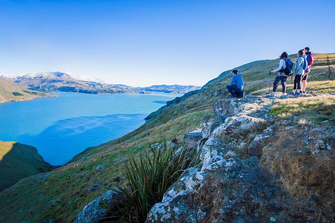 Half Day Guided Walking Tour on Banks Peninsula - Reviews and Ratings From Previous Participants