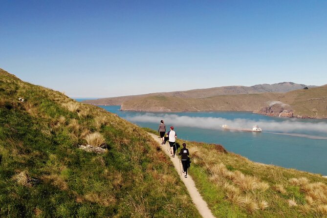 Half Day Guided Walking Tour on Banks Peninsula - Assistance and Help for Inquiries