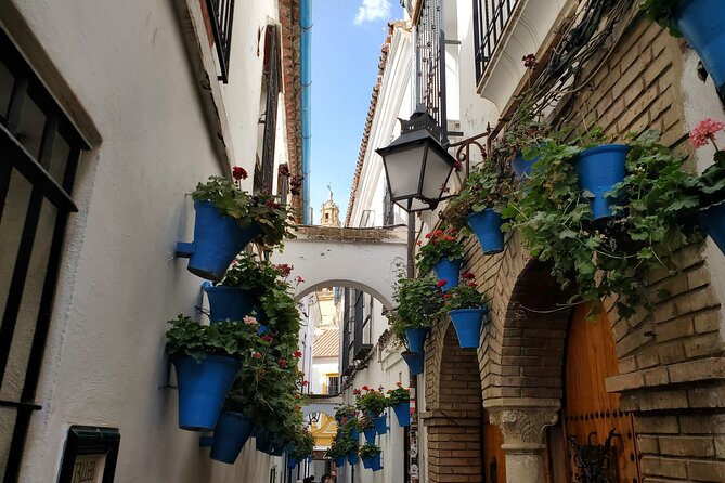Half Day Guided Walking Tour to Explore Alicante City - Meeting Point Details