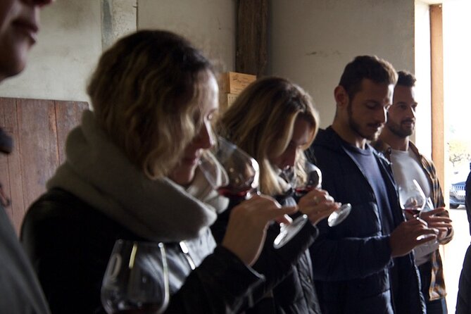 Half-Day Guided Wine Tasting Tour in Bordeaux Vineyards - Tour Highlights