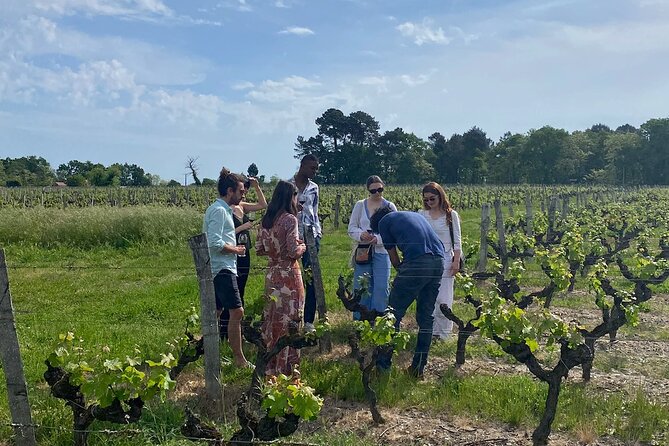 Half-Day Guided Wine Tasting Tour in Bordeaux Vineyards - Pricing and Availability