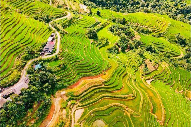 Half Day Ha Giang Jeep Tour: Rice Terrace + Waterfall + City - An In-Depth Look at the Tour Itinerary