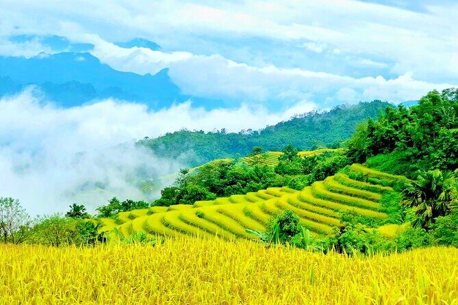Half Day Ha Giang Jeep Tour: Rice Terrace + Waterfall + City - Who Will Love This Tour?