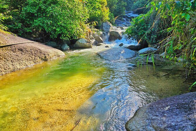 Half Day Ha Giang Jeep Tour: Rice Terrace + Waterfall + City - An In-Depth Look at the Itinerary