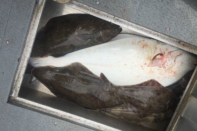Half Day Halibut Fishing - FAQs