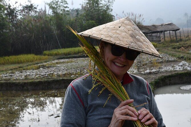 Half Day Hands On Rice Learning Experience in Luang Prabang - Good To Know