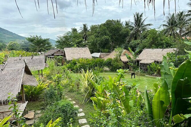 Half Day Hands On Rice Learning Experience in Luang Prabang - What to Expect from the Luang Prabang Rice Experience