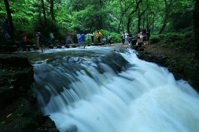 Half-Day Hangzhou Jiuxi Stream and Tea Plantation Experience - Intro: Exploring Hangzhou’s Natural Charm in Half a Day