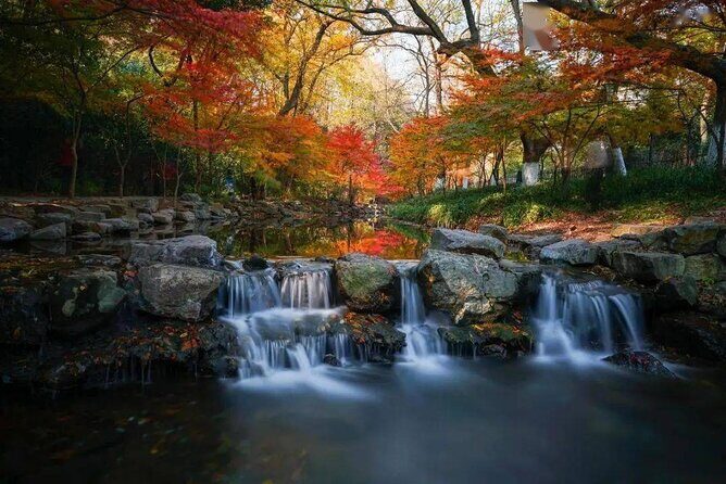 Half-Day Hangzhou Jiuxi Stream and Tea Plantation Experience - Authentic Experience Beyond the Guidebook