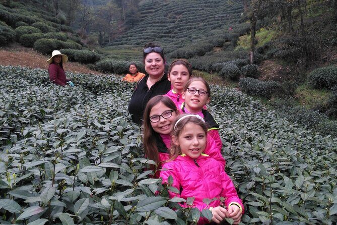 Half-Day Hangzhou Jiuxi Stream and Tea Plantation Experience - The Sum Up: Should You Book This Experience?