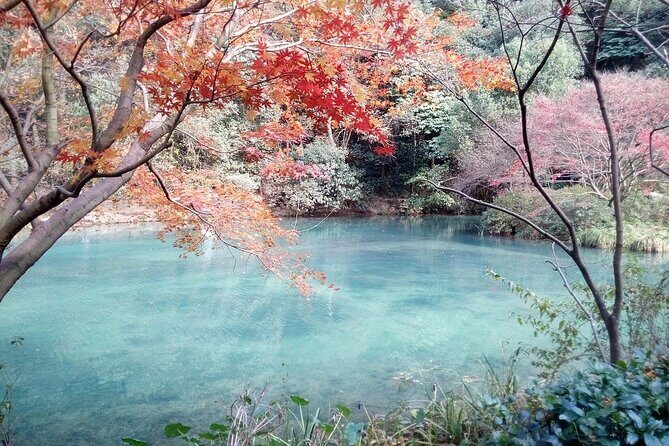 Half-Day Hangzhou Jiuxi Stream and Tea Plantation Experience - FAQ