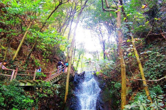 Half-Day Hangzhou Nine Creeks Hiking Tour with Tea Plantation Experience - Introduction to the Hangzhou Nine Creeks Hiking Tour