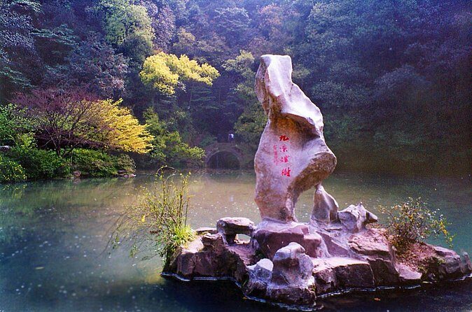Half-Day Hangzhou Nine Creeks Hiking Tour with Tea Plantation Experience - Practical Details: What You Need to Know