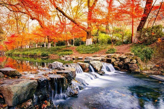 Half-Day Hangzhou Nine Creeks Hiking Tour with Tea Plantation Experience - Introduction