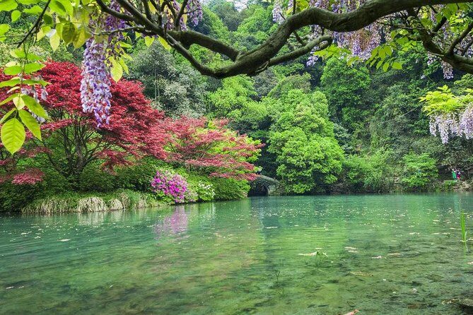 Half-Day Hangzhou Nine Creeks Hiking Tour with Tea Plantation Experience - Discovering Hangzhou’s Natural Beauty