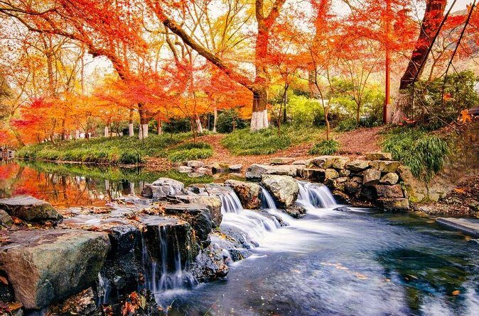 Half-Day Hangzhou Nine Creeks Hiking Tour with Tea Plantation Experience - Authenticity and Value