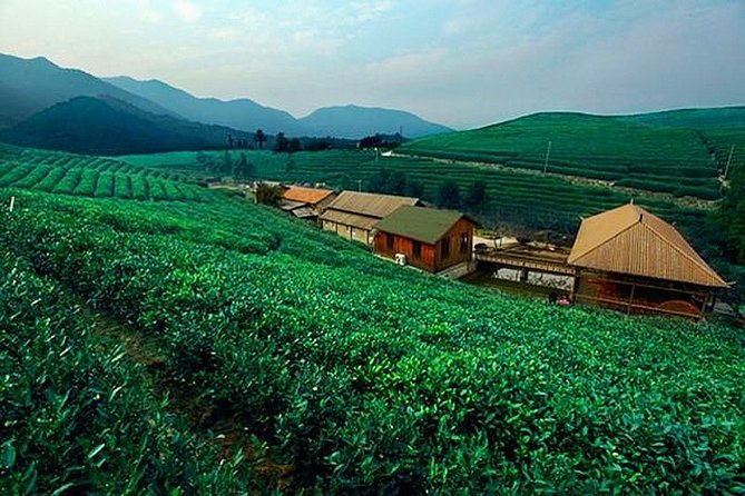 Half-Day Hangzhou Tianzhu Buddhist Mountain Hiking Tour With Green Tea Village - Itinerary Overview