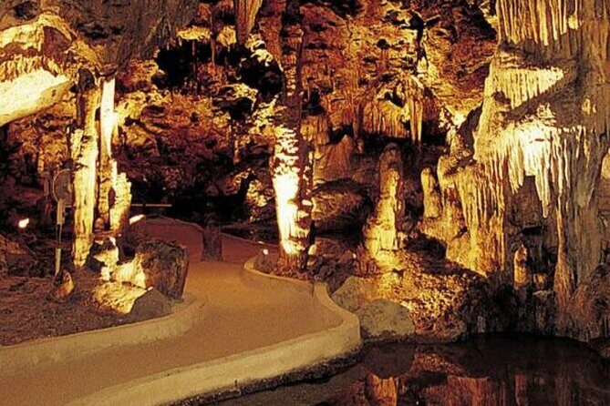 Half Day Hato Cave, Flamingo & Beach Tour - Good To Know
