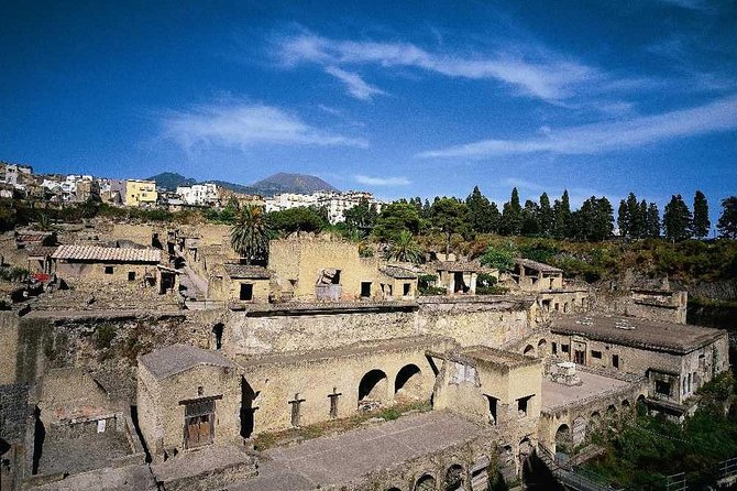 Half Day Herculaneum From Sorrento - Tour Overview