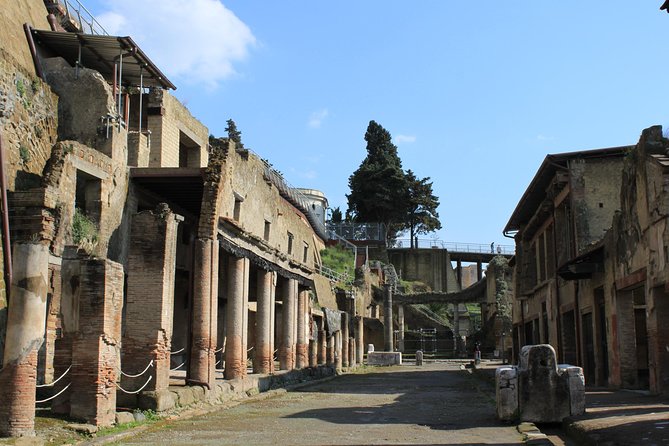 Half Day Herculaneum From Sorrento - Booking and Cancellation