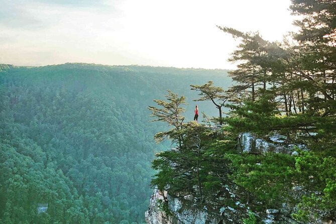 Half Day Hike in New River Gorge National Park & Preserve - Trail Overview